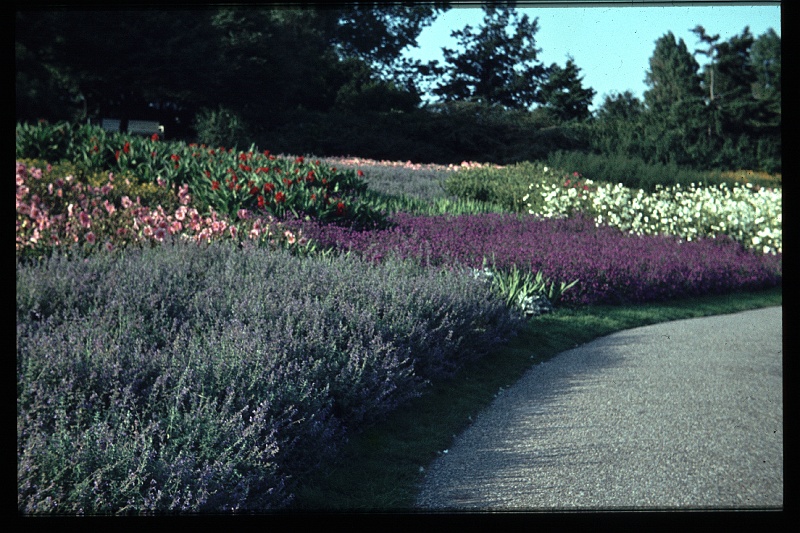 01.Zuiderpark sep 1964.JPG